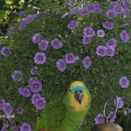 Jokelan Kartano Bed and Breakfast Hollola Εξωτερικό φωτογραφία