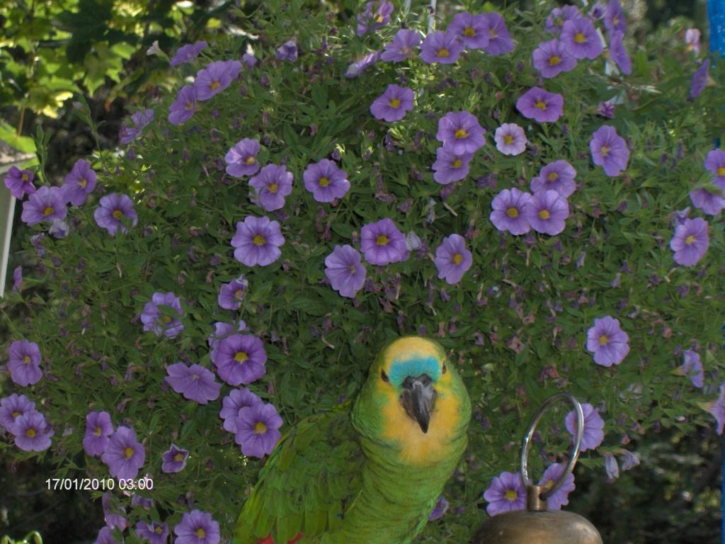 Jokelan Kartano Bed and Breakfast Hollola Εξωτερικό φωτογραφία